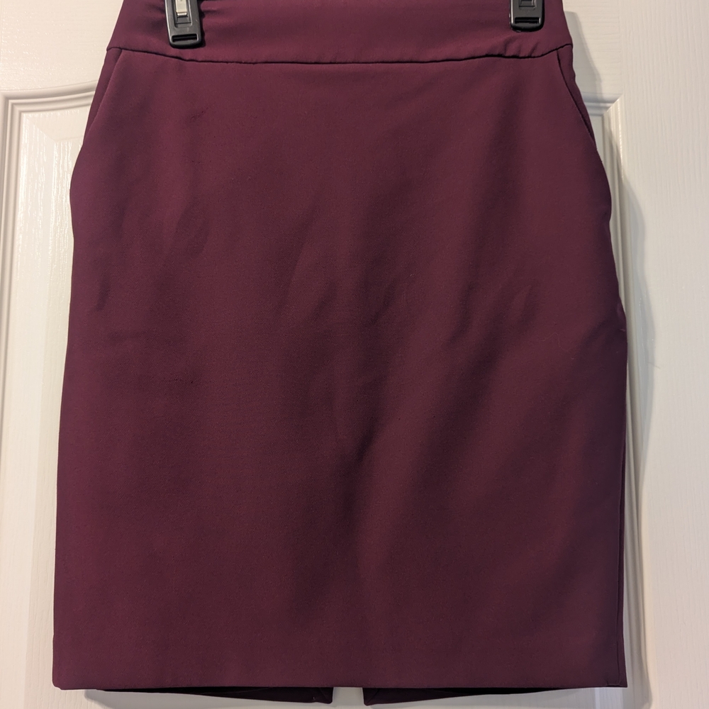 Elegant Purple Women's Skirt